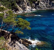 Mediterranean Coast