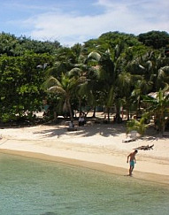 Roatan Secluded Beach