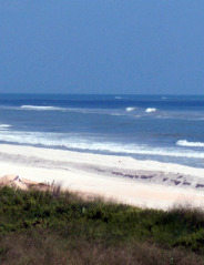 Crescent Beach Waves
