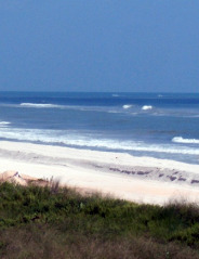 Crescent Beach Waves