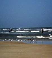 Water Walking in Flagler Beach