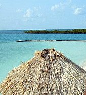 Roatan Beach Retirement